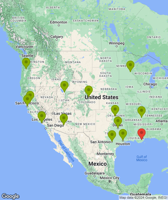 New Orleans Pelicans_league.png